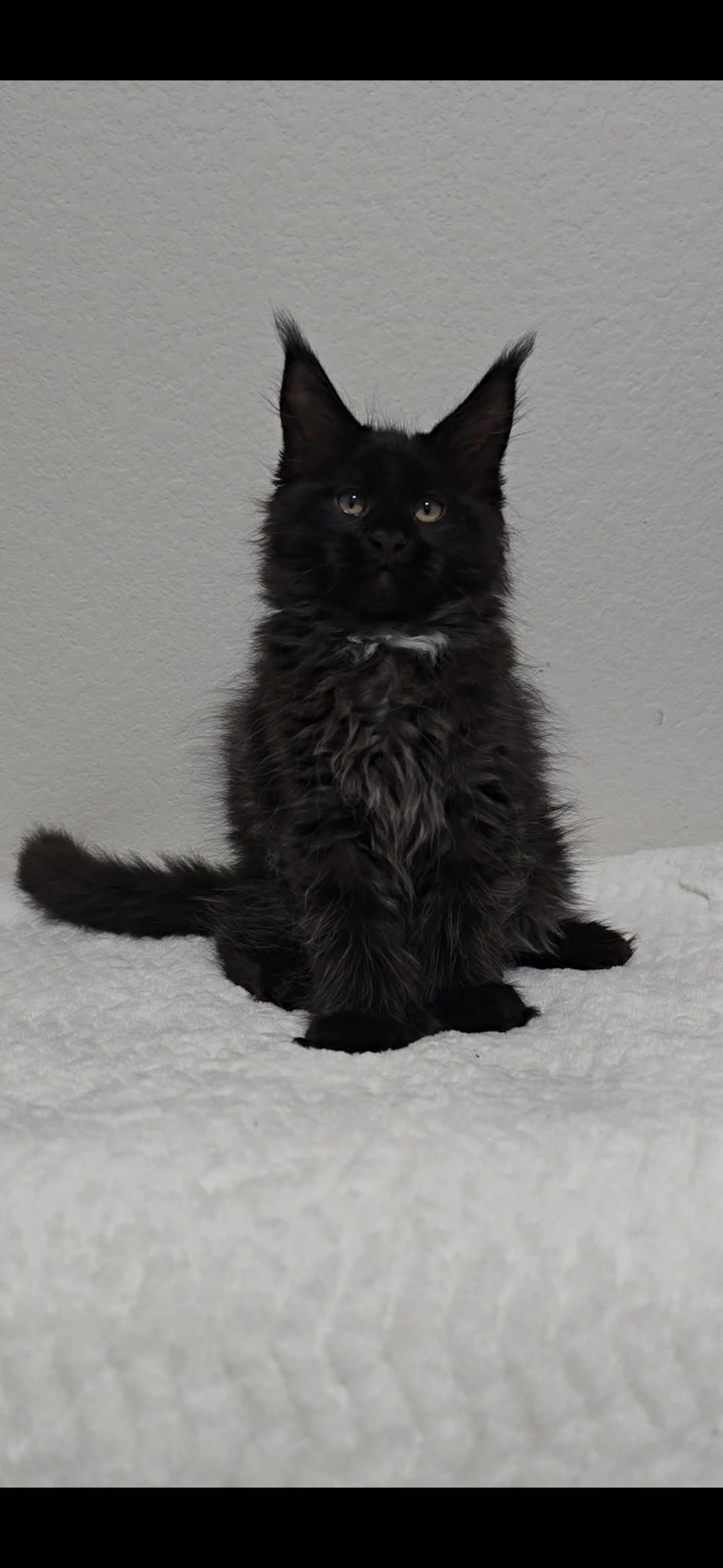 Jasmine photo 4